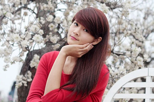 "Teen HN" đua nhau lên Nhật Tân, chụp hoa đào...giả