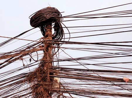 Cảnh không hiếm, nhưng nhìn vẫn rợn người