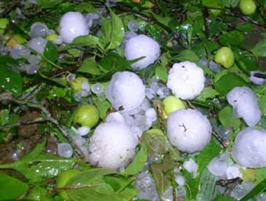 Mưa đá to bằng quả trứng gà, rơi xuống vùng cao Thanh Hóa