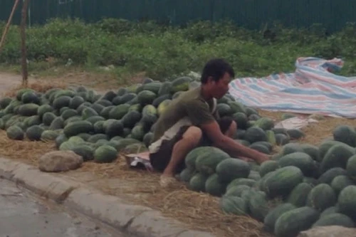 HN: Dưa hấu ê hề vỉa hè, bán tống bán tháo 6.000đ/kg