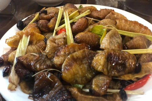 Khi sâu trở thành thức khoái khẩu