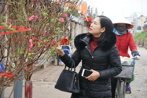 Đào Nhật Tân xuống phố 