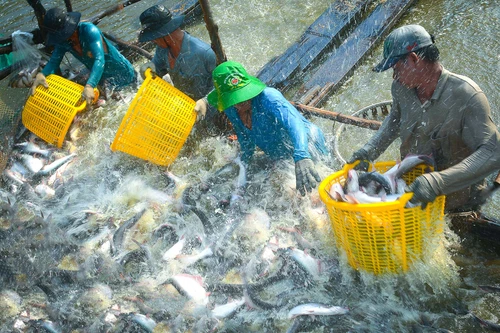 Dự thảo báo cáo chính trị của Ban Chấp hành Trung ương Đảng khóa XII tại Đại hội đại biểu toàn quốc lần thứ XIII của Đảng 