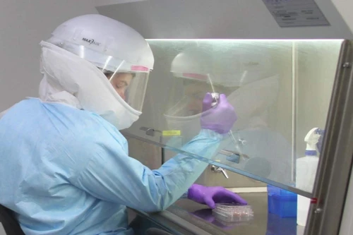 Các nước chung tay tăng tốc nghiên cứu vaccine phòng Covid-19