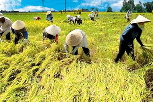 Thông điệp của đối tác tin cậy và có trách nhiệm 