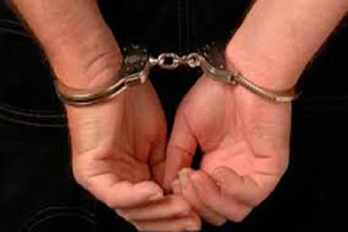 Nhật Bản: Giết vợ rồi chở thi thể nạn nhân đến trụ sở cảnh sát đầu thú