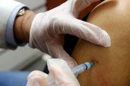 Sẽ có vaccine chống sốt xuất huyết