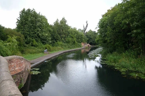 Thanh niên tử vong vì nhảy xuống kênh cứu chó cưng