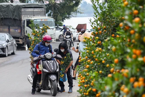 Thời tiết ngày 26 tháng Chạp: Bắc bộ hửng nắng về trưa, Nam bộ nắng nóng