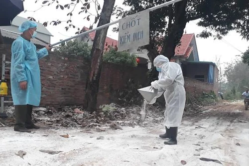 Cúm gia cầm diễn biến phức tạp tại nhiều nước, khẩn cấp ngăn chặn nhập lậu ở Đồng Nai