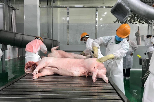 Giá gạo và thịt lợn dự báo có thể tăng nhẹ về cuối năm do nhu cầu cao