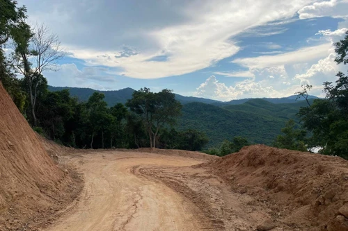 San ủi rừng tự nhiên thi công cao tốc Bắc- Nam, chủ đầu tư cũng không biết sự việc?