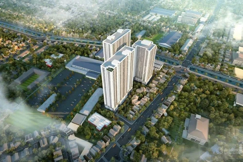 Hải Phòng phát hiện nhiều người mua nhà ở xã hội kê khai không trung thực