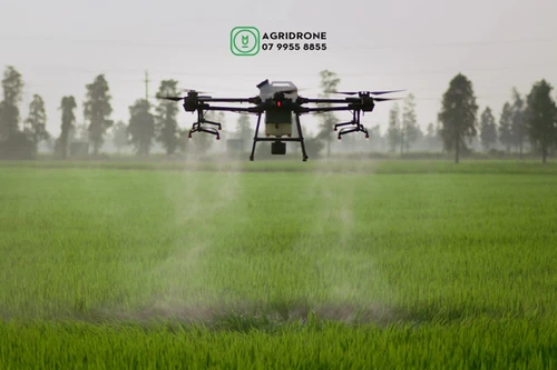 Việt Nam chính thức có tiêu chuẩn cơ sở về phun thuốc trừ sâu bệnh bằng máy bay không người lái