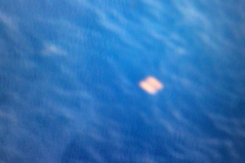 Vật thể nghi phao cứu sinh, thực chất chỉ là cuộn cáp đã bám rêu