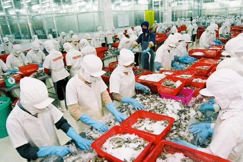 Cảnh báo “thủ phủ” tôm Trung Quốc tạm dừng nhập khẩu tôm Việt Nam và nhiều nước