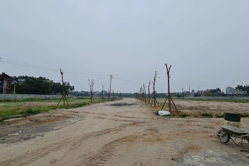 Yêu cầu chấn chỉnh, xử lý nghiêm các trường hợp san đồi núi, lấp hồ ao để phân lô, bán nền