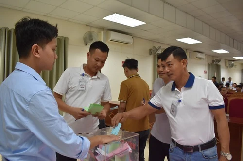 Chưa có phương án xử lý đối với người đấu giá đất 4,2 tỷ đồng/m2 tại Mê Linh