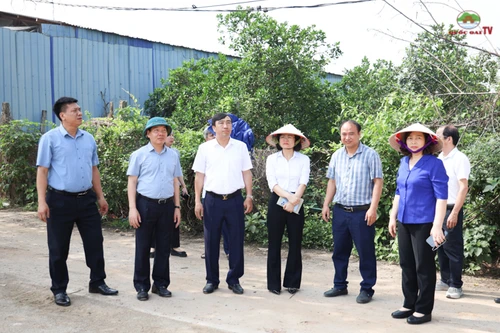 Quốc Oai tạm dừng điều hành đối với 3 Chủ tịch xã để tập trung xử lý vi phạm đất đai