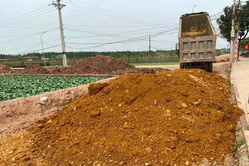 Hà Nội: Dự án làm đường trăm tỷ ở Hoài Đức dùng đất lậu, chủ đầu tư không hay biết?