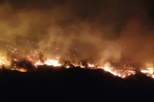 Yêu cầu Quảng Ninh làm rõ nguyên nhân 2 vụ cháy rừng liên tiếp 