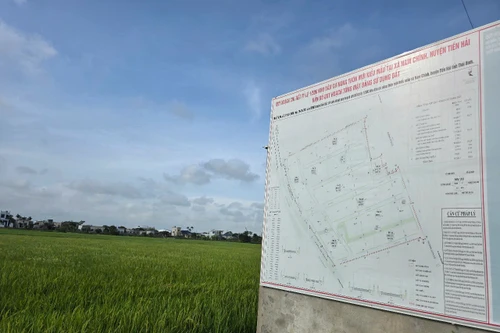 Thu hồi đất lúa làm dự án sát thời điểm luật mới có hiệu lực, người dân chịu thiệt