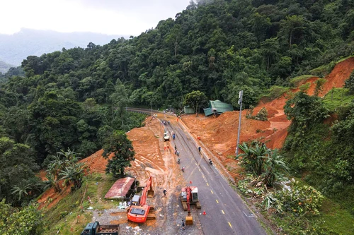 Cục Lâm nghiệp: Đất trồng sầu riêng ở điểm sạt lở đèo Bảo Lộc là rừng phòng hộ