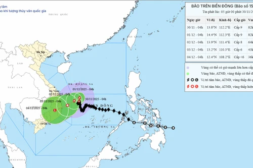 Bão số 15 suy yếu rất chậm, vẫn loanh quanh ở giữa Biển Đông