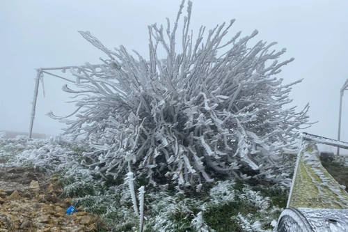 Mẫu Sơn âm 2,5 độ C, Bắc bộ chìm trong rét đậm, rét hại