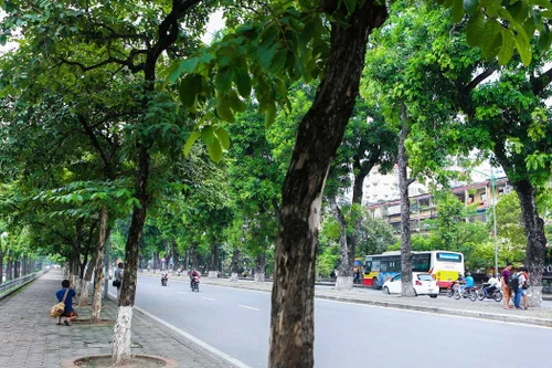 Cấm ô tô quay đầu trên phố Kim Mã trong giờ cao điểm