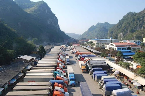 Khoảng 10 ngày nữa mới giải phóng hết hơn 4.000 xe nông sản tồn ở các cửa khẩu Lạng Sơn