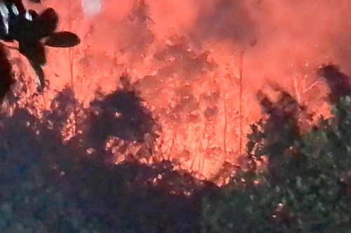 Cháy rừng thông ở Nghệ An đã được dập tắt dưới sự nỗ lực xuyên đêm của 400 người