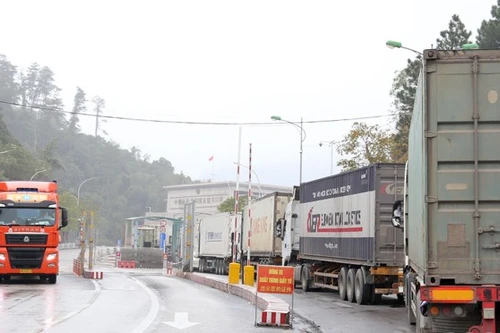 Trung Quốc siết chặt chất lượng nông sản nhập khẩu, hàng Việt xuất khẩu vẫn tăng đều