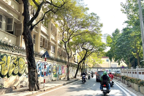 Cấm xe khách từ 16 chỗ ngồi trở lên đi vào phố Ngọc Hà và Hoàng Hoa Thám