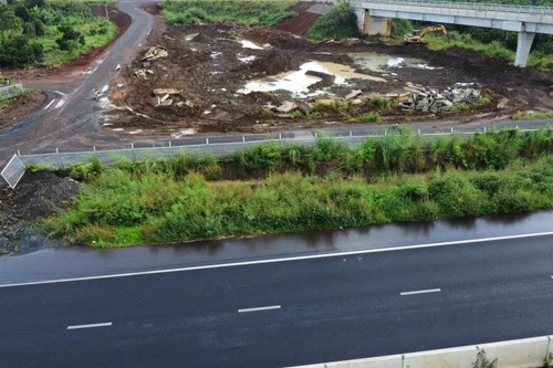 Yêu cầu cắt tỉa cỏ dại mọc lan, gây mất an toàn trên cao tốc Phan Thiết- Dầu Giây