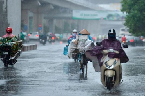 Ngày mai, Bắc bộ mưa rét, vùng núi cao rét đậm