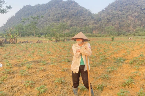 El Nino tác động đến Việt Nam, cảnh báo hạn hán, thiếu nước kéo dài đến 2025