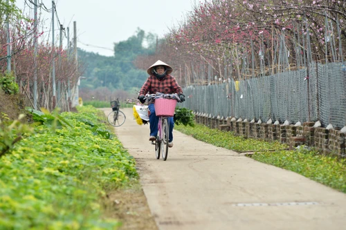 Bắc bộ mưa phùn trước Tết Giáp Thìn, đúng Tết trời nắng