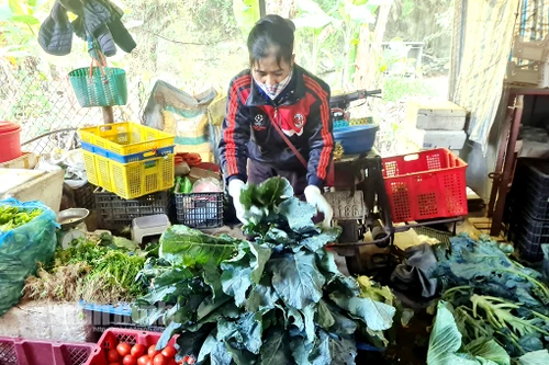 Giá rau xanh đắt đỏ như thịt khó hạ nhiệt vào cuối năm?