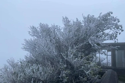 Không khí lạnh tăng cường tràn xuống, vùng núi Bắc bộ xuống dưới 5 độ C