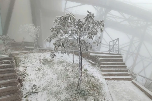 Bắc bộ lạnh tê tái, Fansipan tuyết rơi như châu Âu