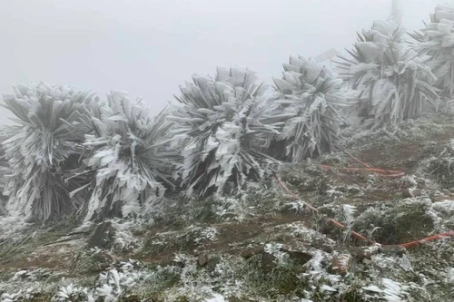 Mùng 4 Tết Nhâm Dần: Băng tuyết có thể xuất hiện vào đêm nay ở Bắc bộ do không khí lạnh tăng cường