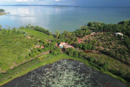 Đồng Nai dự tính làm đường xuyên rừng tự nhiên nối với Bình Phước