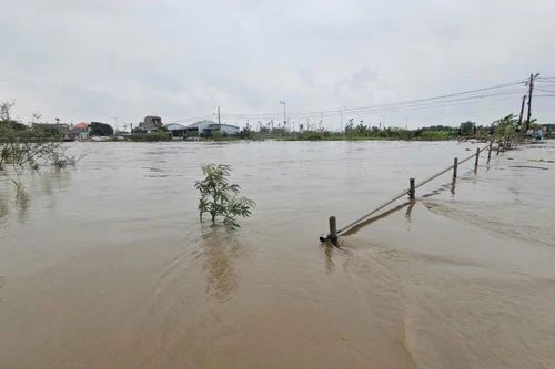 Nước lũ trên sông Bồ tại Huế vượt lũ lịch sử năm 2020