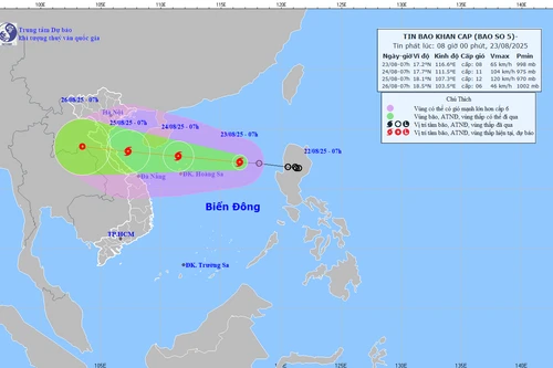 Áp thấp nhiệt đới mạnh lên thành bão số 5, dự kiến đổ bộ Bắc Trung bộ