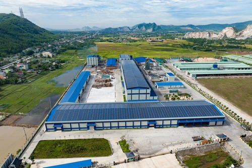 Vi phạm môi trường, Công ty Miza Nghi Sơn bị phạt hơn nửa tỷ đồng