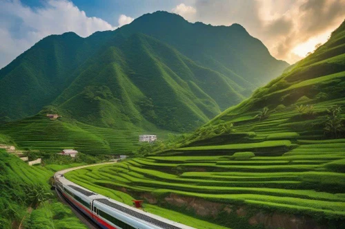 Sử dụng ngân sách Trung ương giải phóng mặt bằng dự án đường sắt cao tốc Bắc- Nam