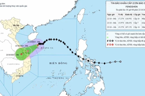 Bão Fengshen cách Huế-Quảng Ngãi gần 300km, Đà Nẵng là tâm điểm mưa cực lớn từ trưa nay