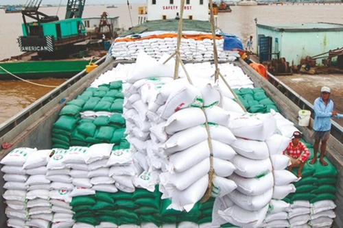 Giá gạo xuất khẩu Việt Nam giảm sâu: Có vấn đề trong khâu trung gian mua bán?