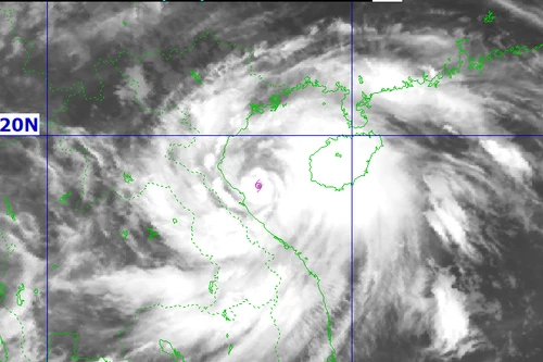 Dự báo, bão số 5 sẽ đổ bộ đất liền với cường độ cấp 13-14
